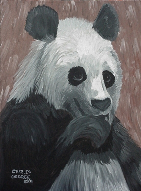 Panda Perfection